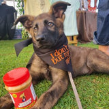 Doobie Scoobs CBD infused Peanut Butter